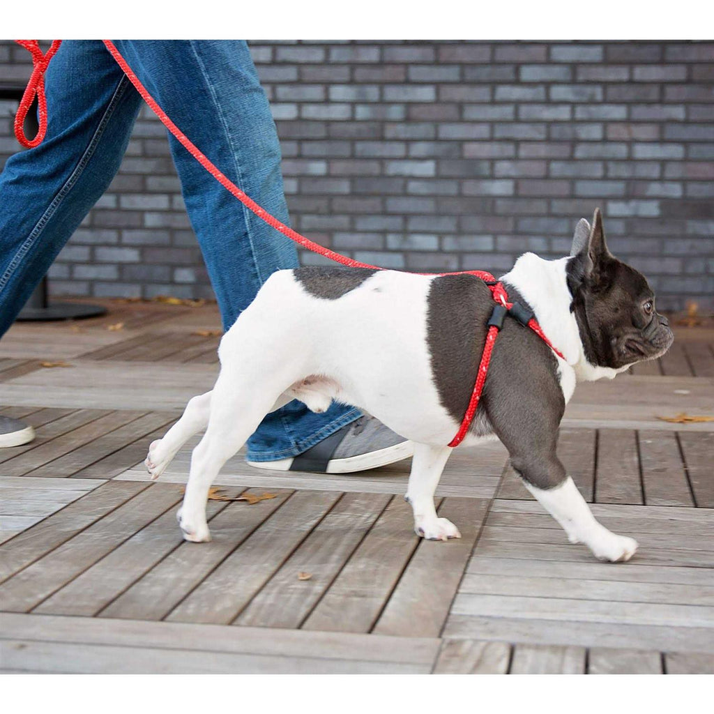 Dog Harness Q317137