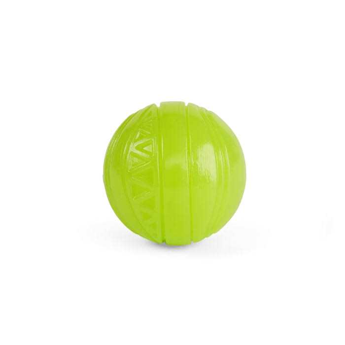 Glow Ball Dog Toy W2697