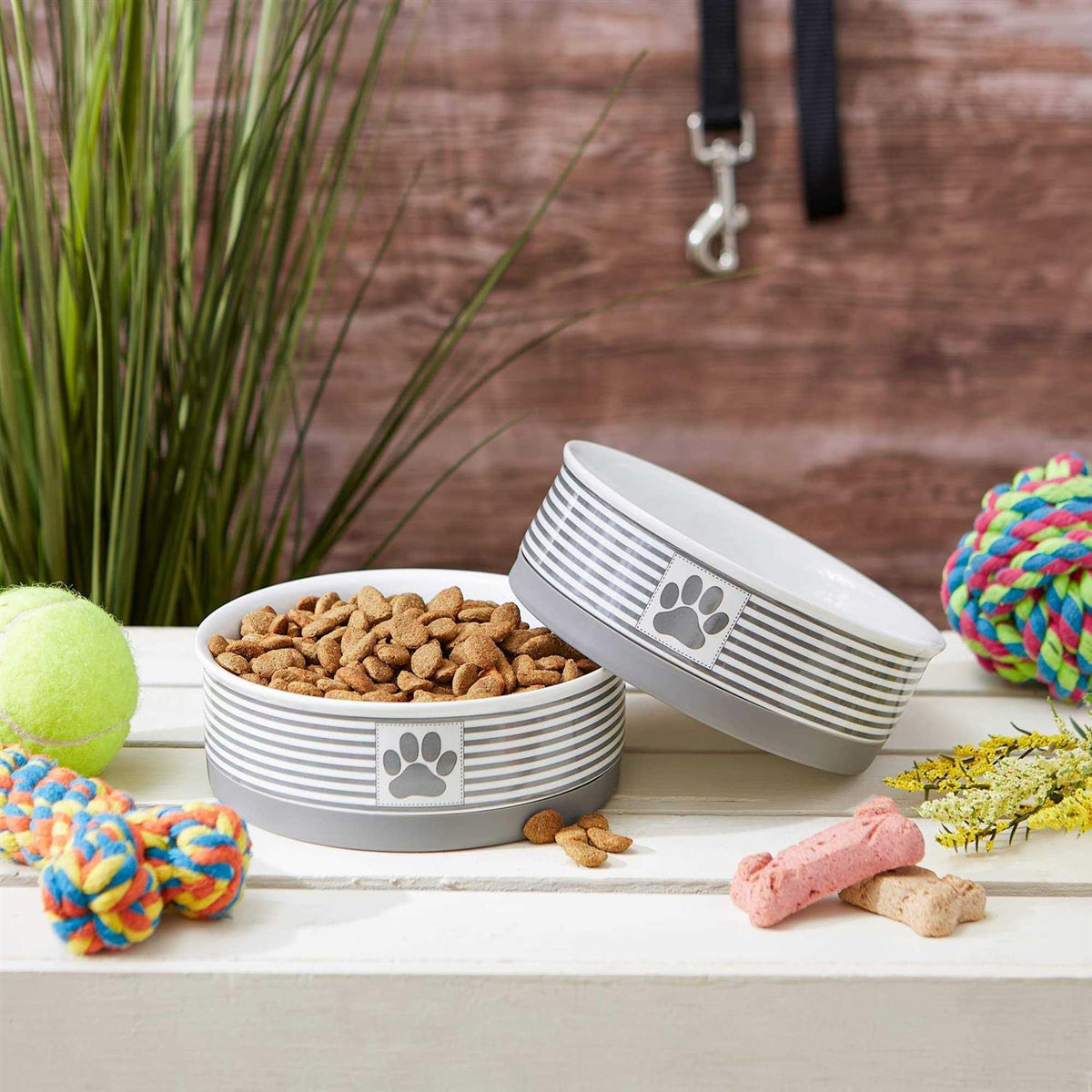 Bone Dry Paw Patch Pet Bowl D185
