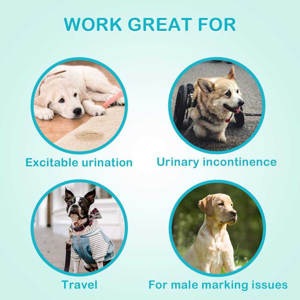 Absorbent Male Dog Wraps Belly Bands with Leak Protection E7626