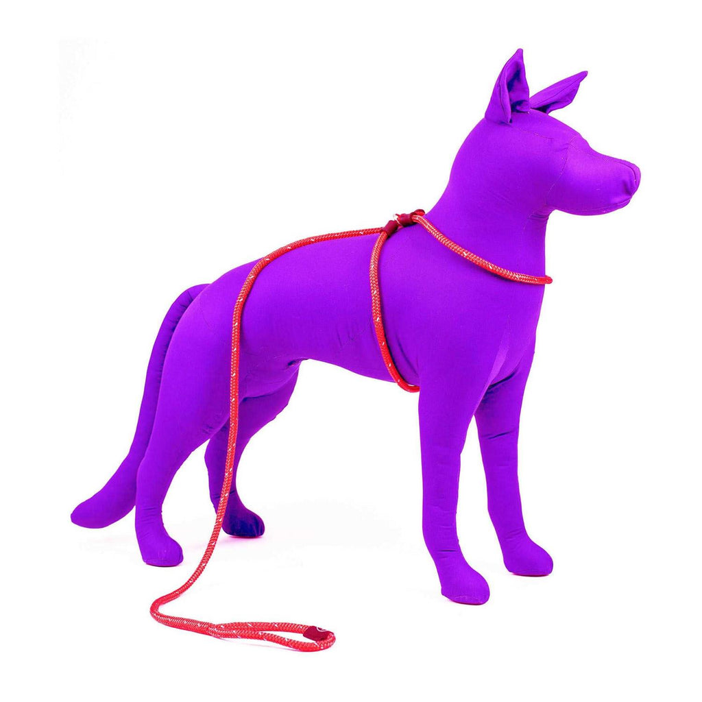 Dog Harness Q317137