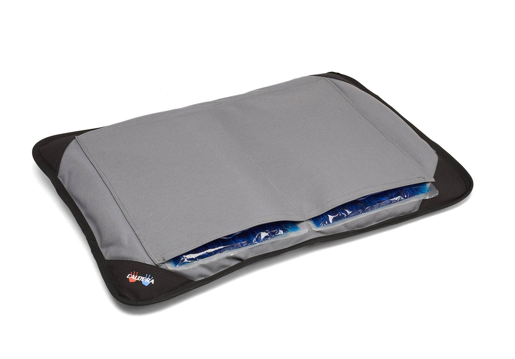 Gray Medium Pet Bed F85701