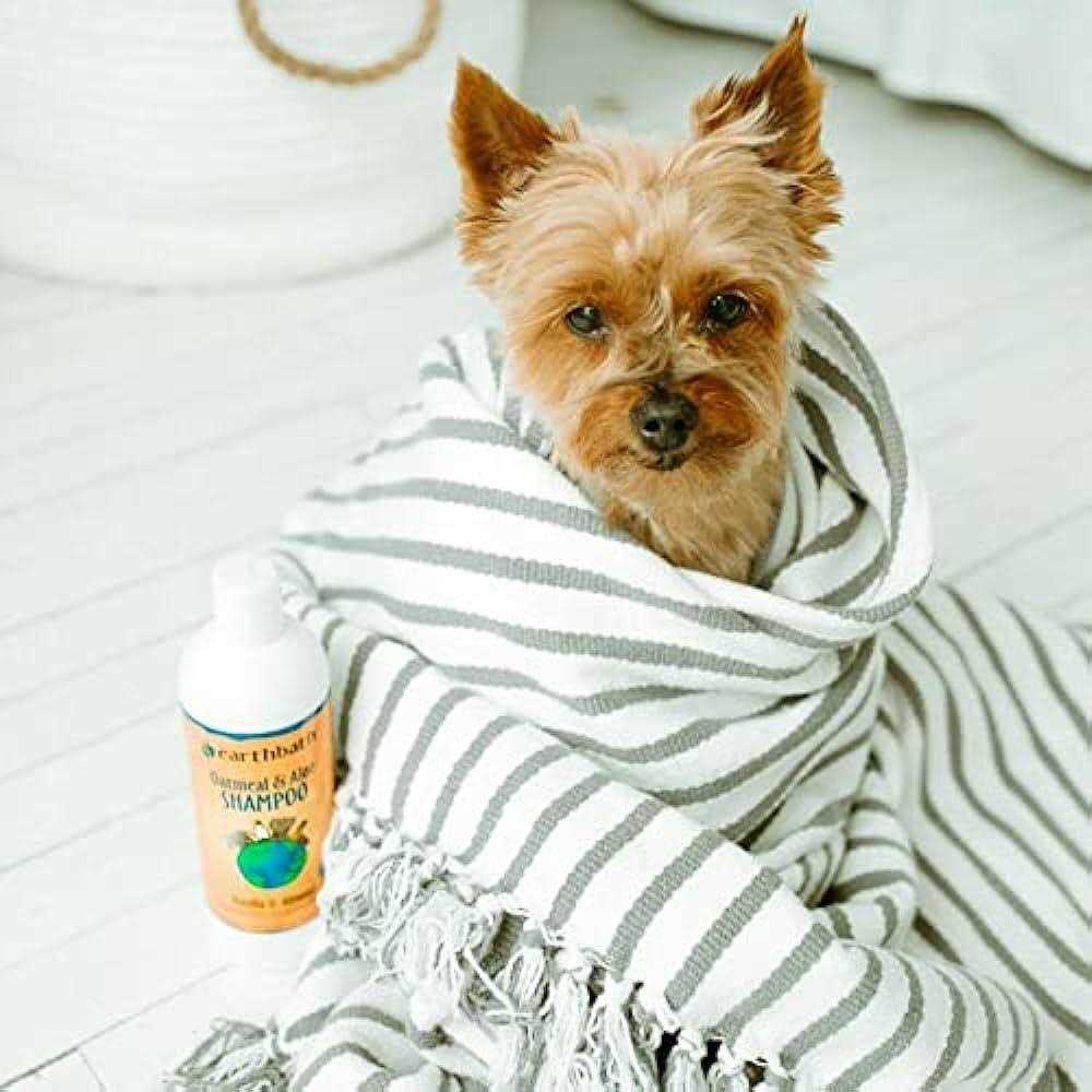 2-in-1 Conditioning Shampoo O628304