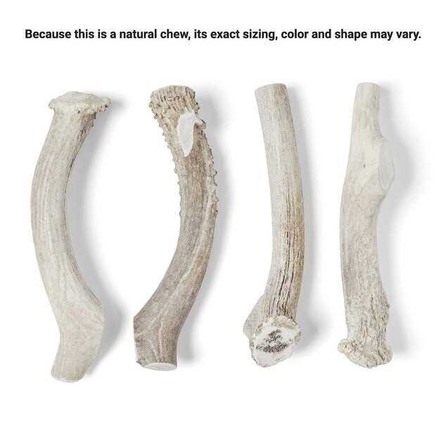 Deer Antler Dog Chew H968218