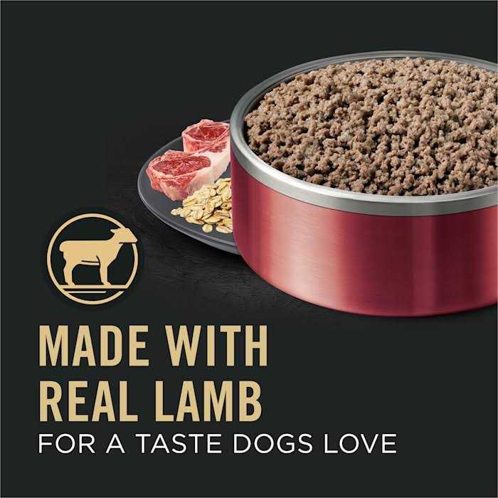 Sensitive Skin and Stomach Wet Dog Food Pate Lamb and Oat Meal Q768