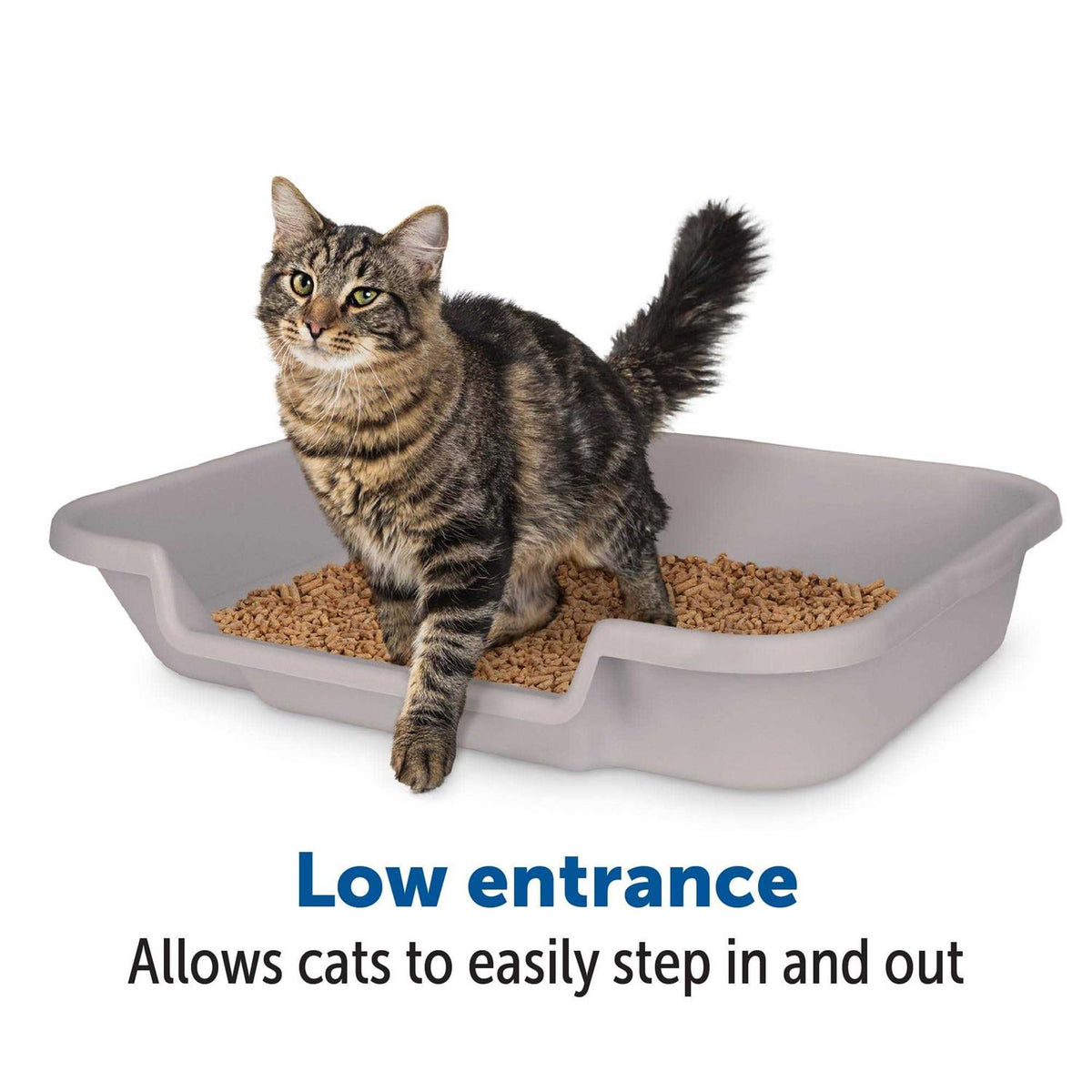 Large Litter Box T9435