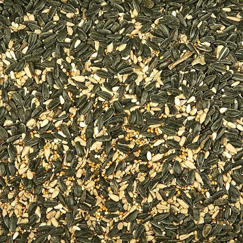 Wild Bird Food S702