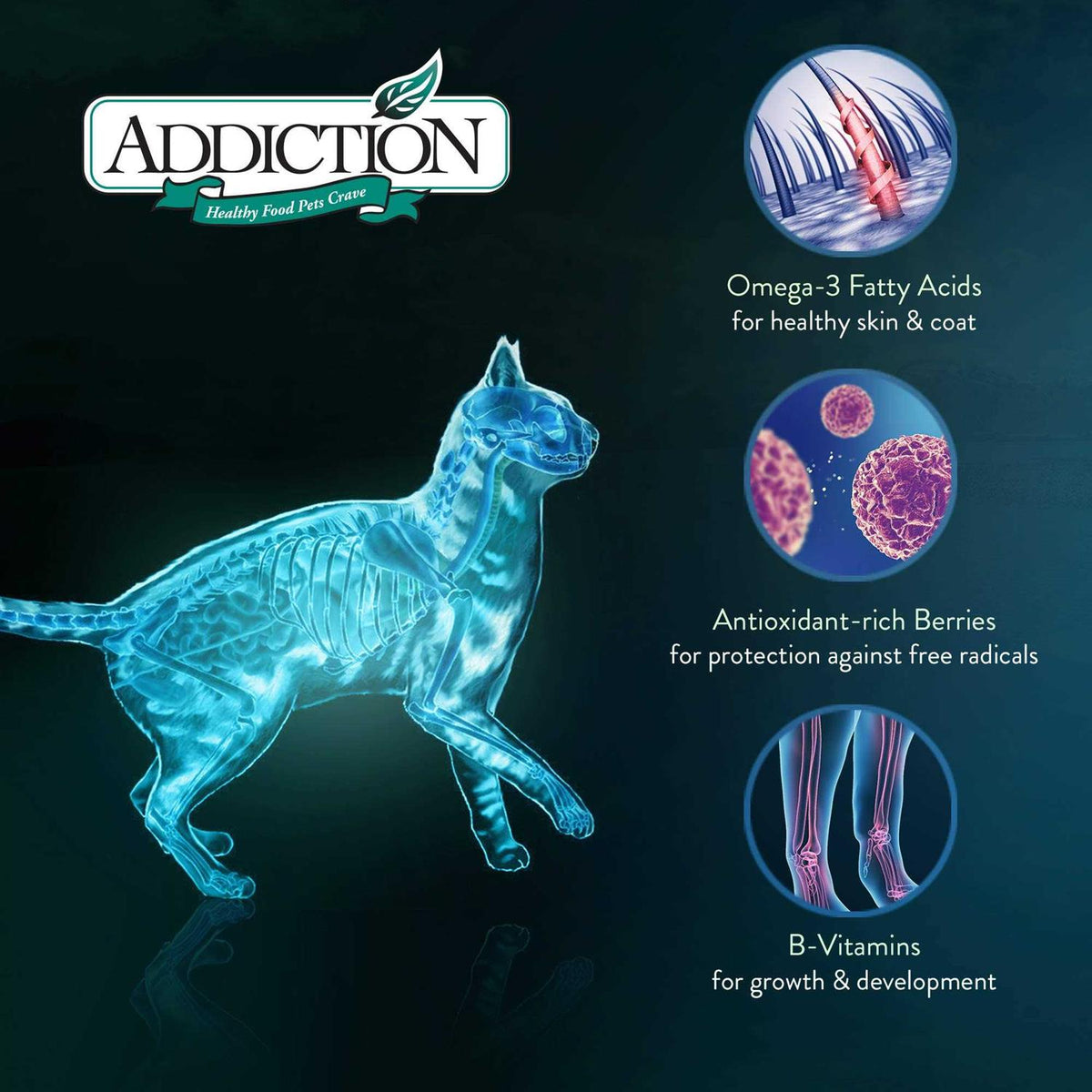 Grain-Free Duck Dry Cat Food Y188