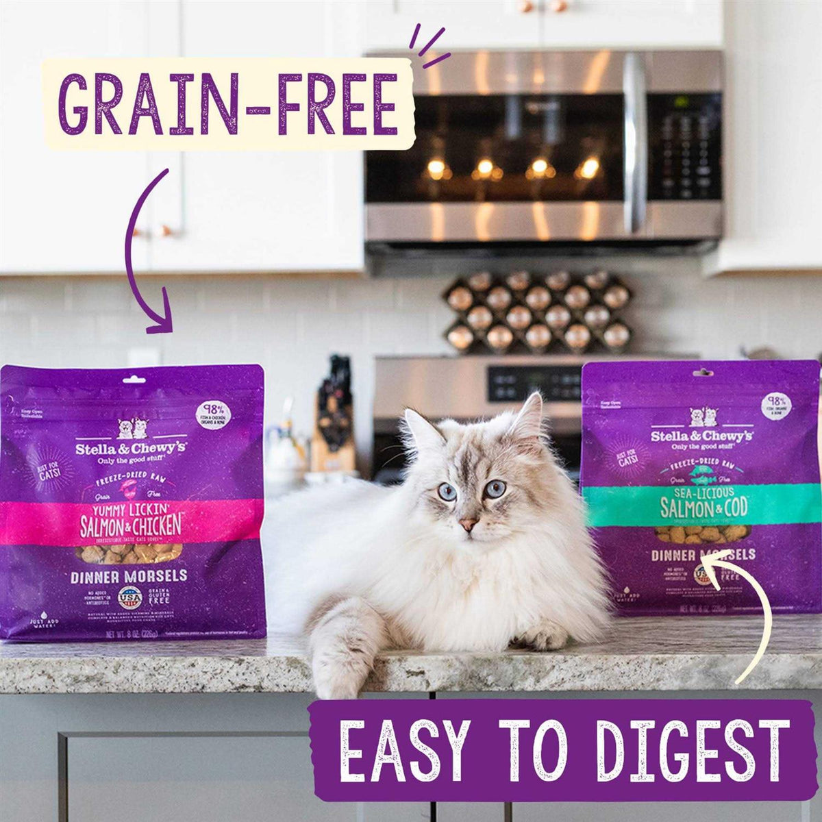 Chicken Freeze-Dried Cat Food N628