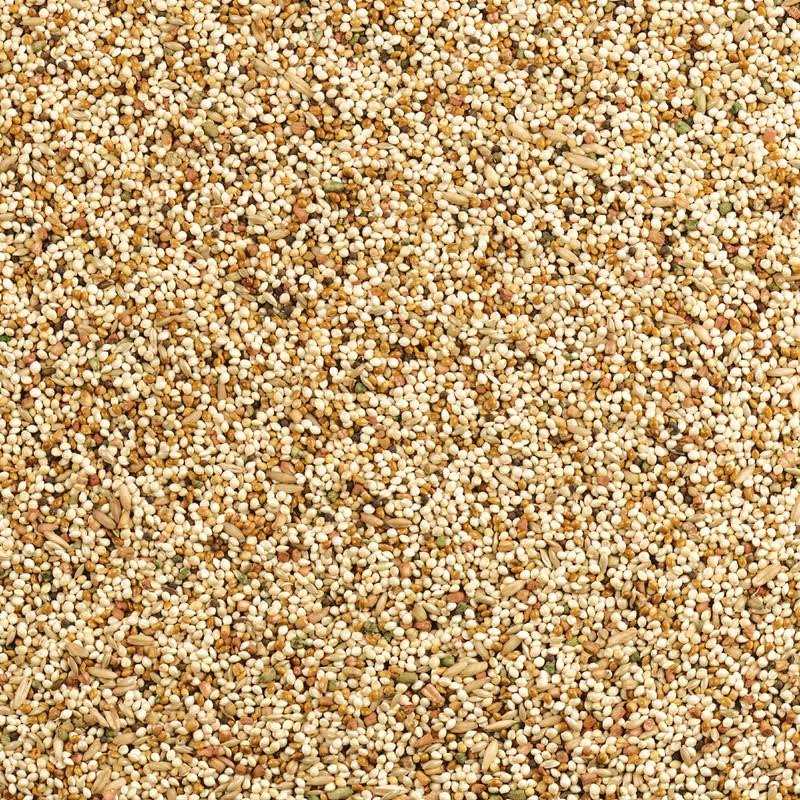 Daily Blend Nutrition Diet for Parakeet, Canary and Finch 10 Pounds W187